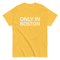 Shop and Buy Only In Boston