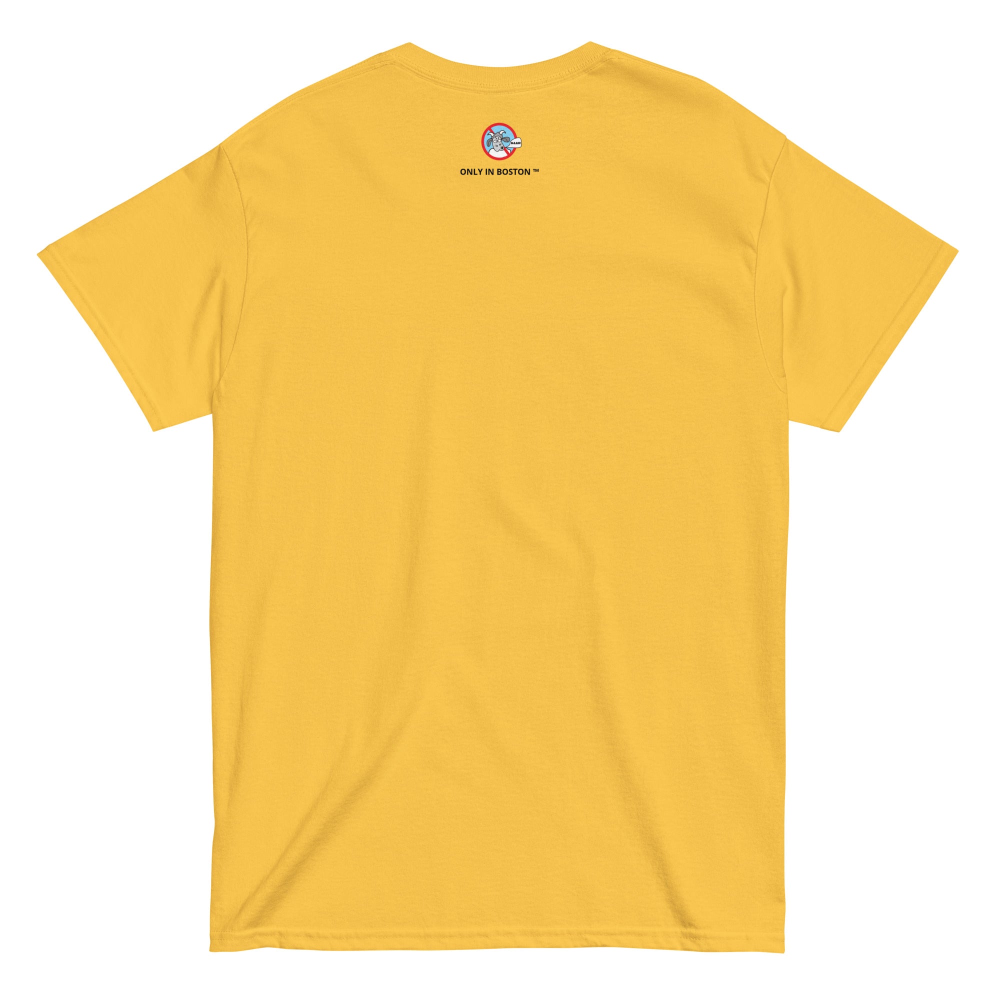 Shop and Buy Boston Team Apparel
