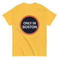 Shop and Buy Boston Shirts