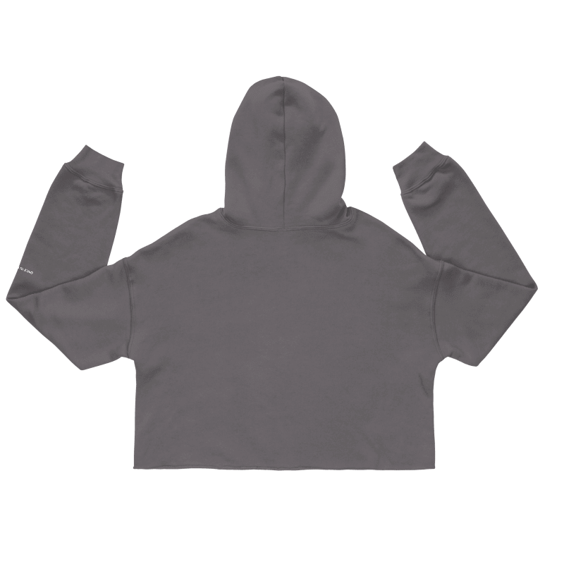 Only In Boston™ | Wicked Smaaht | Crop Top Hoodie | Comm Ave Grey