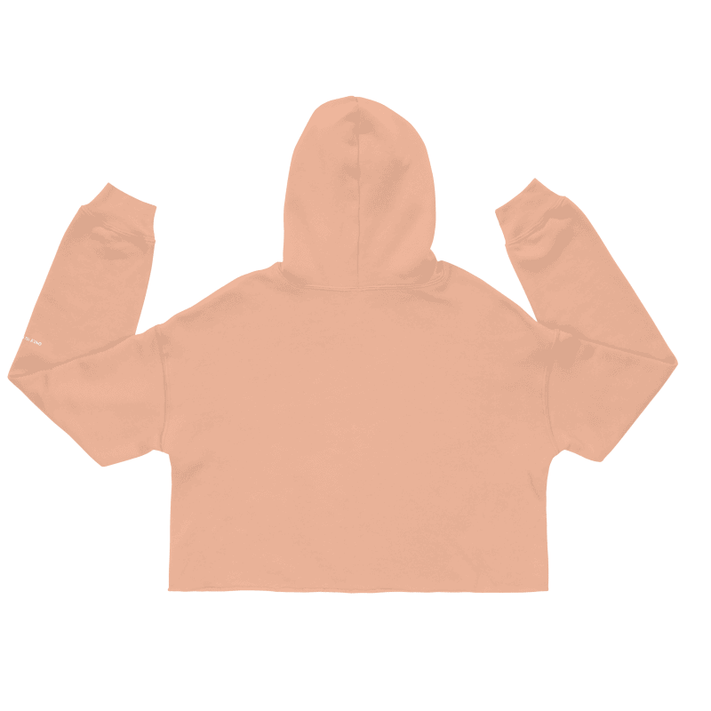 Only In Boston™ | Wicked Smaaht | Crop Top Hoodie | Seasonal Pumpkin Spice