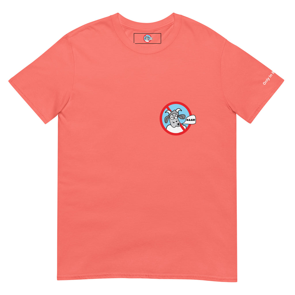 Shop and Buy Boston Team Apparel