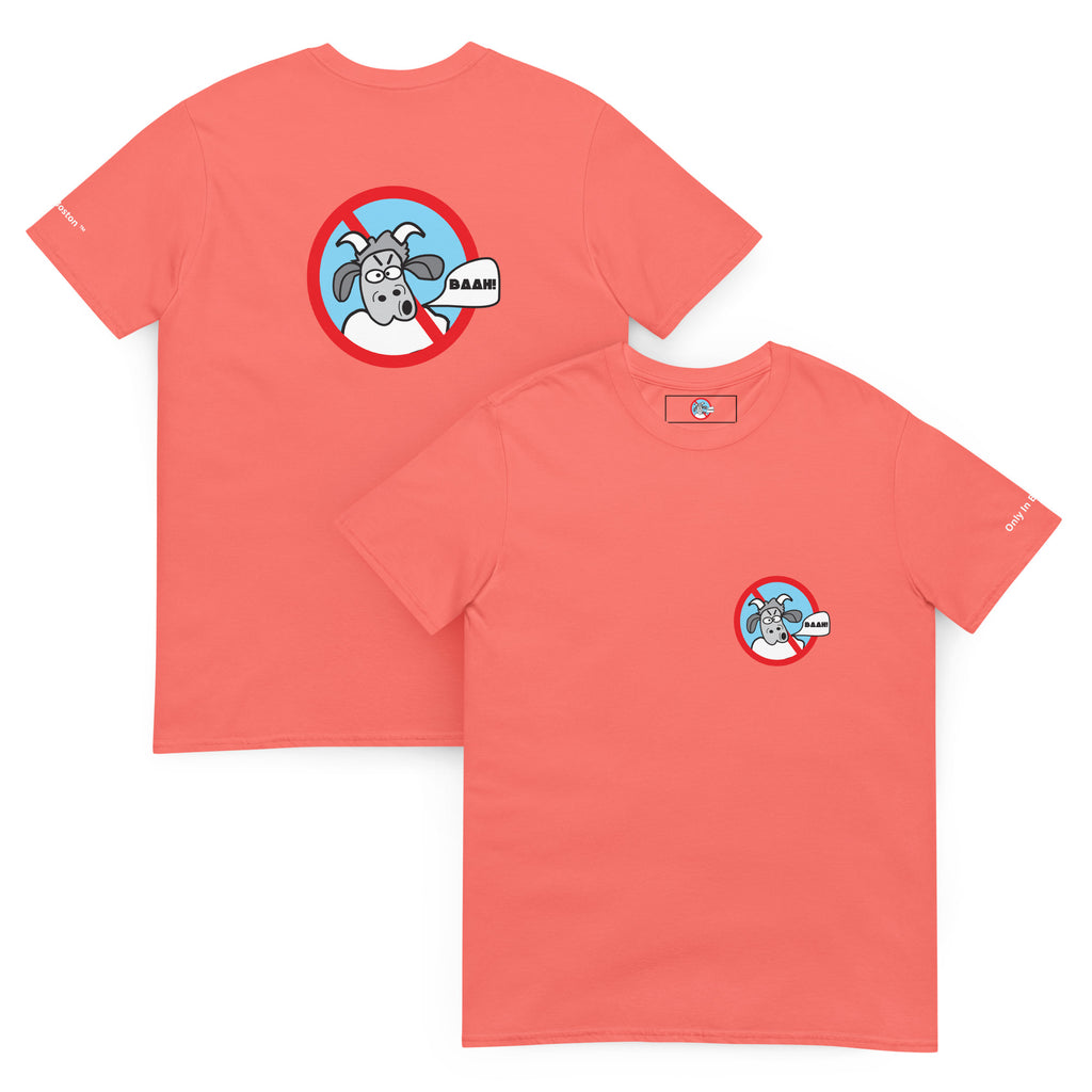 Shop and Buy Boston Team Apparel