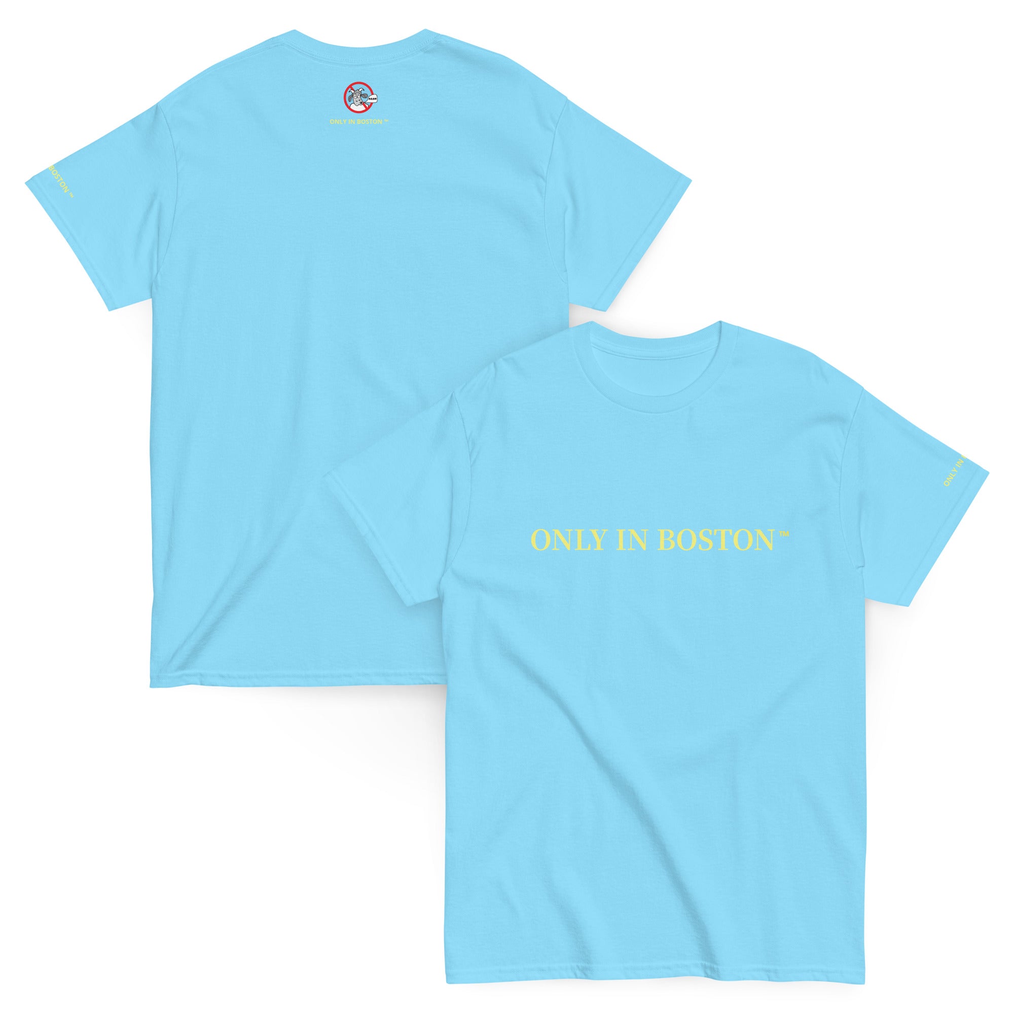 Only In Boston™ | City Life | Common T-Shirt | Cape Cod Blue